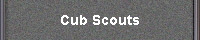 Cub Scouts