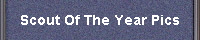 Scout Of The Year Pics