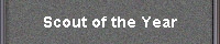 Scout of the Year