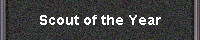 Scout of the Year